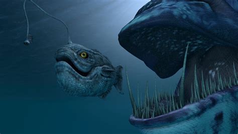 The Deep Sea .